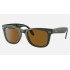 WAYFARER FOLDING CLASSIC
Lenses: Brown Classic B-15  +  Frame: Green