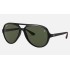 RB4125M SCUDERIA FERRARI COLLECTION
Lenses: Green Classic G-15  +  Frame: Black