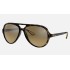 RB4125M SCUDERIA FERRARI COLLECTION
Lenses: Brown/Silver Mirror  +  Frame: Tortoise