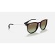 ERIKA CLASSIC
Lenses: Brown Gradient  +  Frame: Black