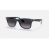 WAYFARER LITEFORCE
Lenses: Grey Gradient  +  Frame: Blue