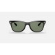 WAYFARER LITEFORCE
Lenses: Green Classic  +  Frame: Black