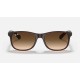 Andy
Lenses: Brown Gradient  +  Frame: Brown