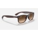 Andy
Lenses: Brown Gradient  +  Frame: Brown