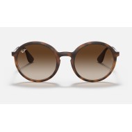 RB4222
Lenses: Brown Gradient  +  Frame: Tortoise