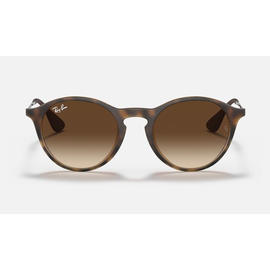 RB4243
Lenses: Brown Gradient  +  Frame: Tortoise