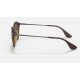 RB4243
Lenses: Brown Gradient  +  Frame: Tortoise