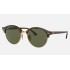 CLUBROUND CLASSIC
Lenses: Green Classic G-15  +  Frame: Red Havana