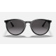 RB4274
Lenses: Grey Gradient  +  Frame: Black