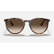 RB4274
Lenses: Brown Gradient  +  Frame: Tortoise
