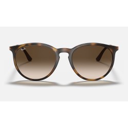RB4274
Lenses: Brown Gradient  +  Frame: Tortoise