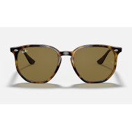 RB4306
Lenses: Dark Brown Classic B-15  +  Frame: Tortoise