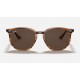 RB4306
Lenses: Dark Brown Classic  +  Frame: Striped Red Havana