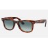 WAYFARER EASE
Lenses: Blue Gradient  +  Frame: Tortoise