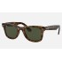 WAYFARER EASE
Lenses: Green Classic  +  Frame: Tortoise