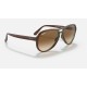 VAGABOND
Lenses: Brown Gradient  +  Frame: Brown Transparent Green Brown