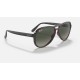 VAGABOND
Lenses: Grey Gradient  +  Frame: Grey Transparent Red Grey