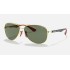 RB8313M SCUDERIA FERRARI COLLECTION
Lenses: Green Classic  +  Frame: Gold