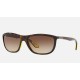 RB8351M SCUDERIA FERRARI SG GP17 LTD
Lenses: Brown Gradient  +  Frame: Tortoise
