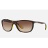 RB8351M SCUDERIA FERRARI SG GP17 LTD
Lenses: Brown Gradient  +  Frame: Tortoise