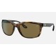 RB8356M SCUDERIA FERRARI COLLECTION
Lenses: Dark Brown Classic B-15  +  Frame: Tortoise