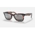 ORIGINAL WAYFARER CHROMANCE
Lenses: Polarized Silver/Grey Chromance Mirror  +  Frame: Pink Havana