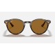 RB2180
Lenses: Polarized Brown Classic B-15  +  Frame: Tortoise