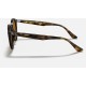 RB2180
Lenses: Polarized Brown Classic B-15  +  Frame: Tortoise