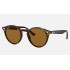 RB2180
Lenses: Polarized Brown Classic B-15  +  Frame: Tortoise