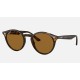 RB2180
Lenses: Polarized Brown Classic B-15  +  Frame: Tortoise