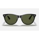 WAYFARER II CLASSIC
Lenses: Polarized Green Classic G-15  +  Frame: Black