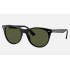 WAYFARER II CLASSIC
Lenses: Polarized Green Classic G-15  +  Frame: Black