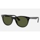 WAYFARER II CLASSIC
Lenses: Polarized Green Classic G-15  +  Frame: Black