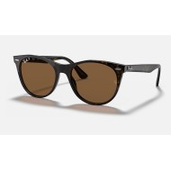 WAYFARER II CLASSIC
Lenses: Polarized Brown Classic B-15  +  Frame: Spotted Havana