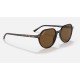 THALIA
Lenses: Polarized Green Classic G-15  +  Frame: Tortoise