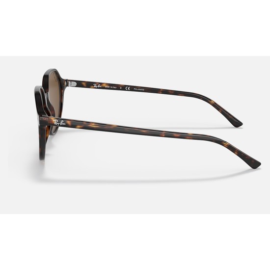 THALIA
Lenses: Polarized Green Classic G-15  +  Frame: Tortoise