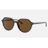 THALIA
Lenses: Polarized Green Classic G-15  +  Frame: Tortoise