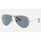 Aviator Mickey WDW50
Lenses: Polarized Blue/Silver Classic  +  Frame: Gold