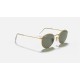 ROUND METAL
Lenses: Polarized Green G-15 Classic  +  Frame: Gold
