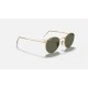 ROUND METAL
Lenses: Polarized Green G-15 Classic  +  Frame: Gold