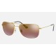 RB3543 CHROMANCE
Lenses: Polarized Purple Chromance Mirror  +  Frame: Gold