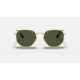 HEXAGONAL FLAT LENSES
Lenses: Polarized Green Classic G-15  +  Frame: Gold