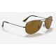 RB3562 CHROMANCE
Lenses: Polarized Brown Classic  +  Frame: Gunmetal