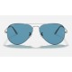 AVIATOR METAL II
Lenses: Polarized Blue Classic  +  Frame: Gunmetal