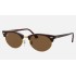 CLUBMASTER OVAL
Lenses: Polarized Brown Classic B-15  +  Frame: Mock Tortoise