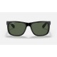 RB4165 JUSTIN MICKEY A21
Lenses: Polarized Green Classic  +  Frame: Black
