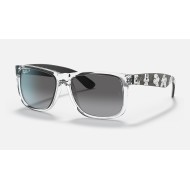 RB4165 JUSTIN MICKEY A21
Lenses: Polarized Grey Gradient  +  Frame: Transparent