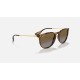 ERIKA @Collection
Lenses: Polarized Brown Gradient  +  Frame: Tortoise