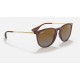 ERIKA CLASSIC
Lenses: Polarized Brown Gradient  +  Frame: Transparent Dark Brown