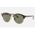 CLUBROUND CLASSIC
Lenses: Polarized Green Classic G-15  +  Frame: Red Havana